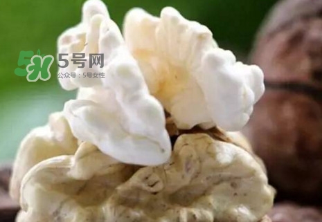 青皮核桃?guī)捉锍鲆唤锔珊颂?？青皮核桃什么時候成熟