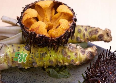 被海膽刺到怎么辦？吃海膽對(duì)身體有什么好處