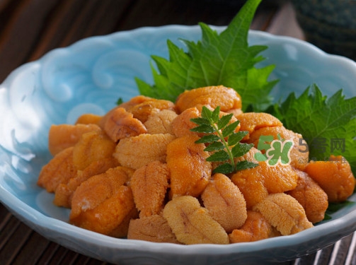 海膽怎么做好吃？買海膽怎么挑