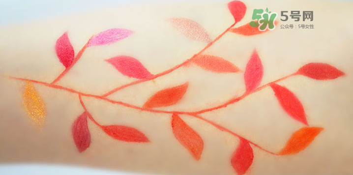 蒂詩顏口紅怎么樣？蒂詩顏口紅是哪里的牌子？