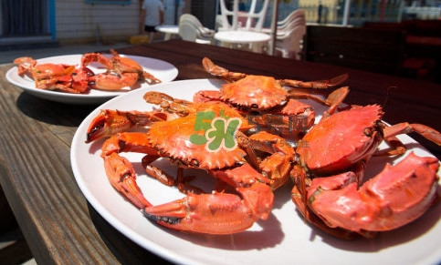 赤甲紅海蟹多少錢(qián)一斤？2017赤甲紅海蟹價(jià)格