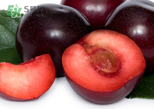 黑布林和火龍果能一起吃嗎？黑布林可以和火龍果一起吃嗎？