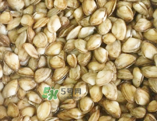 海瓜子怎么做好吃？海瓜子怎么清洗