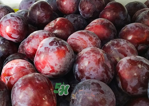 黑布林和酸奶能一起吃嗎？吃完黑布林能喝牛奶嗎？