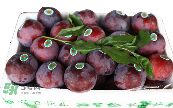 黑布林什么季節(jié)成熟？黑布林什么時(shí)候上市？