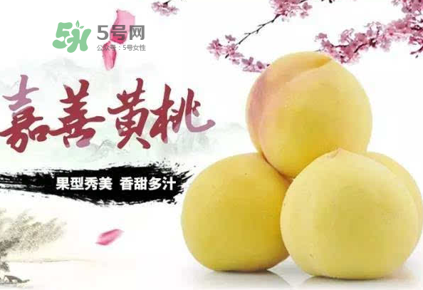 嘉善黃桃多少錢一斤？嘉善黃桃的上市時(shí)間