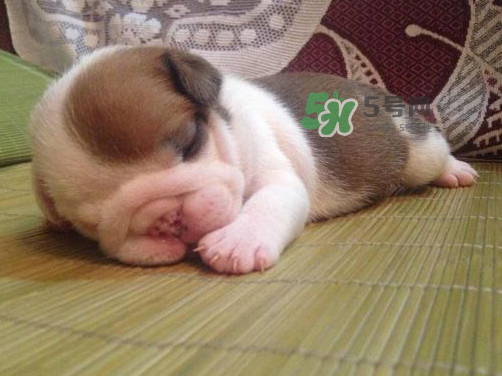 三伏天可以睡涼席嗎？三伏天睡涼席好嗎？