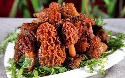 羊肚菌生長(zhǎng)在什么地方？羊肚菌同什么煲湯最好