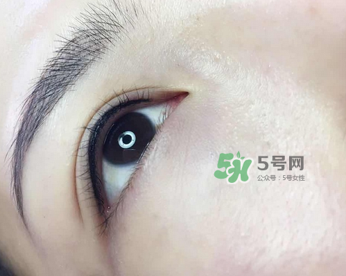 美瞳線有幾種款式？美瞳線有小尾巴嗎？