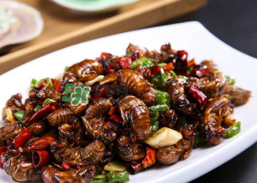 八月份還有知了猴嗎？知了幾月份就沒有了？