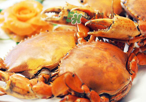 八月份有螃蟹嗎？8月份有螃蟹嗎？