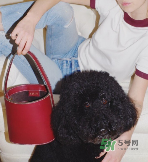 staud水桶包多少錢？staud水桶包專柜價(jià)格