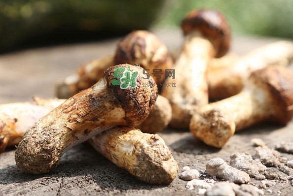 新鮮松茸怎么吃？松茸怎么吃最有營養(yǎng)