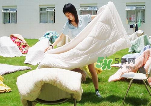三伏天能曬被子嗎？三伏天曬被子好嗎？