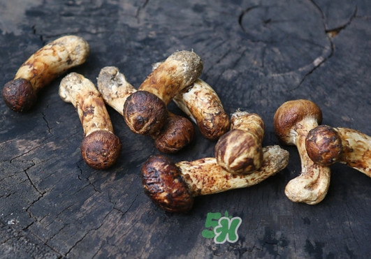 新鮮松茸怎么吃？松茸怎么吃最有營養(yǎng)
