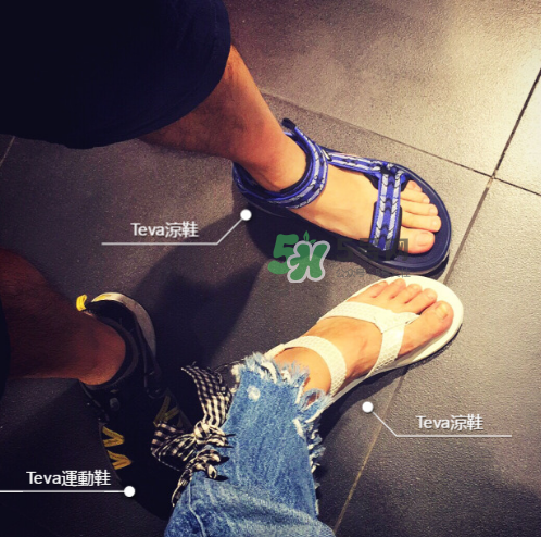 teva是什么牌子_哪個(gè)國(guó)家的_什么檔次？