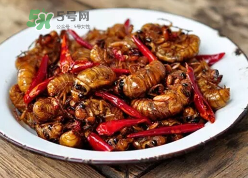 金蟬變黑了怎么辦_金蟬為什么會(huì)變黑_金蟬變黑了還能吃嗎 金蟬變黑了怎么辦_金蟬為什么會(huì)變黑_金蟬變黑了還能吃嗎