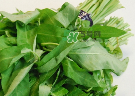 通心菜怎么炒好吃_通心菜怎么做好吃 通心菜怎么炒好吃_通心菜怎么做好吃