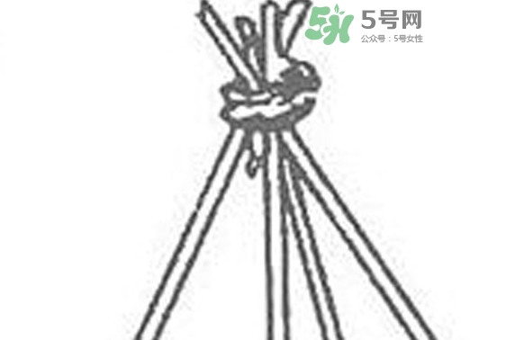 缸豆什么時(shí)候搭架？缸豆要怎樣搭架子