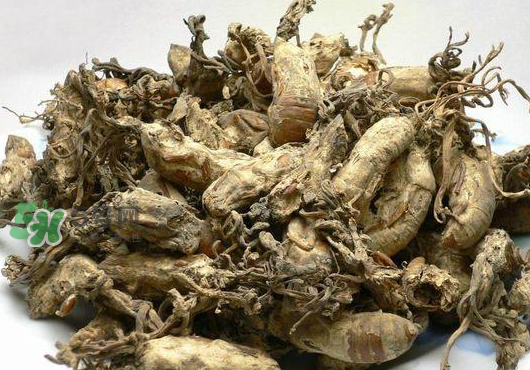 知了花多少錢一斤？野生知了花多少錢一斤2017？