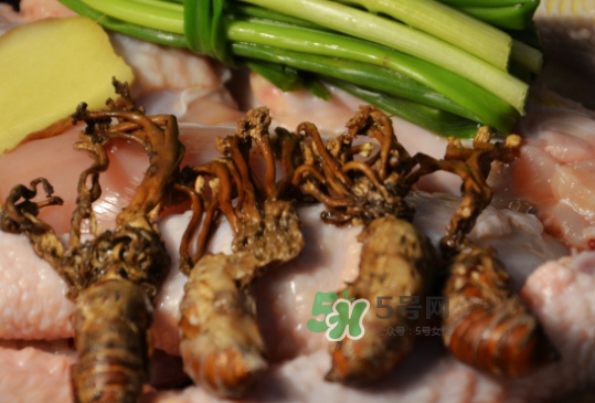 知了花多少錢一斤？野生知了花多少錢一斤2017？