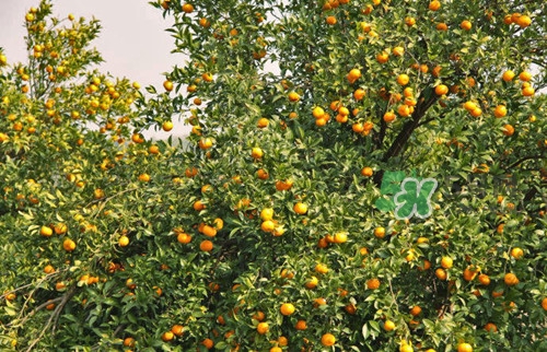 9月份去浙江穿什么？九月份去浙江穿什么衣服