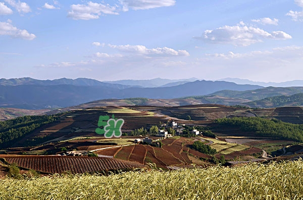 9月份去云南穿什么？九月份去云南穿什么衣服