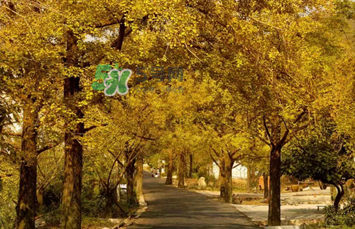 9月份去浙江穿什么？九月份去浙江穿什么衣服