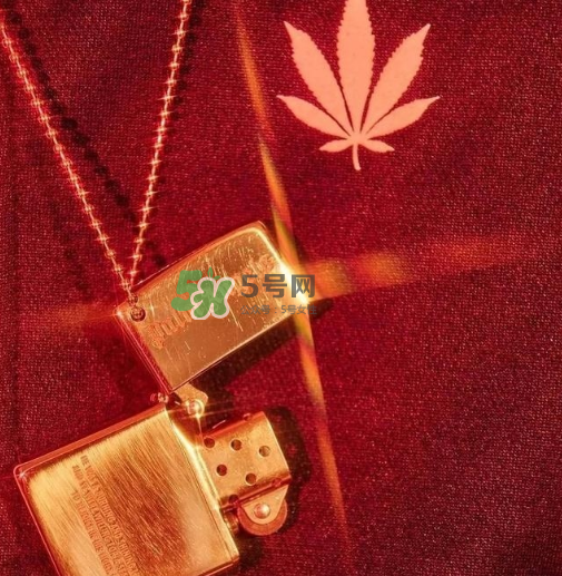 palm angels是什么牌子_哪個國家的_什么檔次？