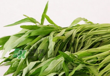 通心菜可以生吃嗎_生吃通心菜有什么壞處 通心菜可以生吃嗎_生吃通心菜有什么壞處