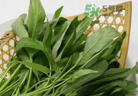 通心菜可以放冰箱保存嗎_通心菜能放冰箱幾天 通心菜可以放冰箱保存嗎_通心菜能放冰箱幾天