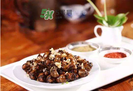 立秋后的知了還能吃嗎？立秋還有知了猴嗎？