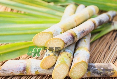 2017立秋后會涼快嗎_立秋后早晚會涼快嗎 2017立秋后會涼快嗎_立秋后早晚會涼快嗎