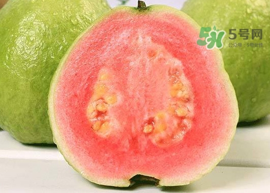 紅芭樂怎么吃？芭樂是熱的還是涼的