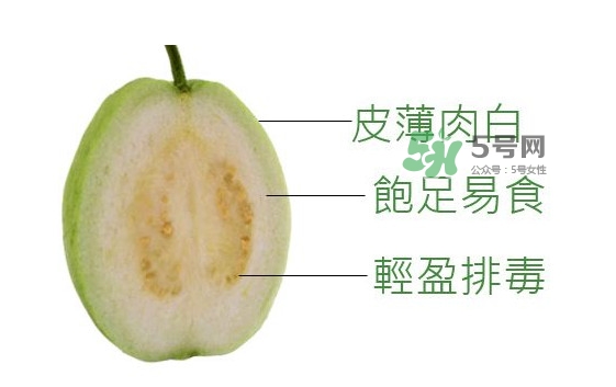 芭樂是什么季節(jié)的水果？芭樂什么時候吃最好