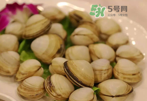 花蛤可以放冰箱冷凍嗎？花蛤放冰箱保鮮能吃嗎？