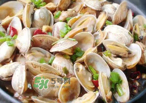 吃花蛤會胖嗎？花蛤熱量高嗎？