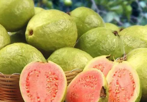 芭樂(lè)多少錢一斤？紅心芭樂(lè)多少錢一斤