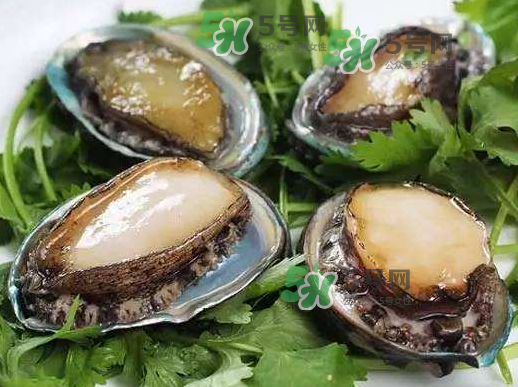 花蛤沒開口能吃嗎？花蛤不張嘴是不是死了？