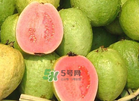 紅芭樂(lè)吃多了會(huì)怎么樣？吃白芭樂(lè)好還是紅芭樂(lè)好