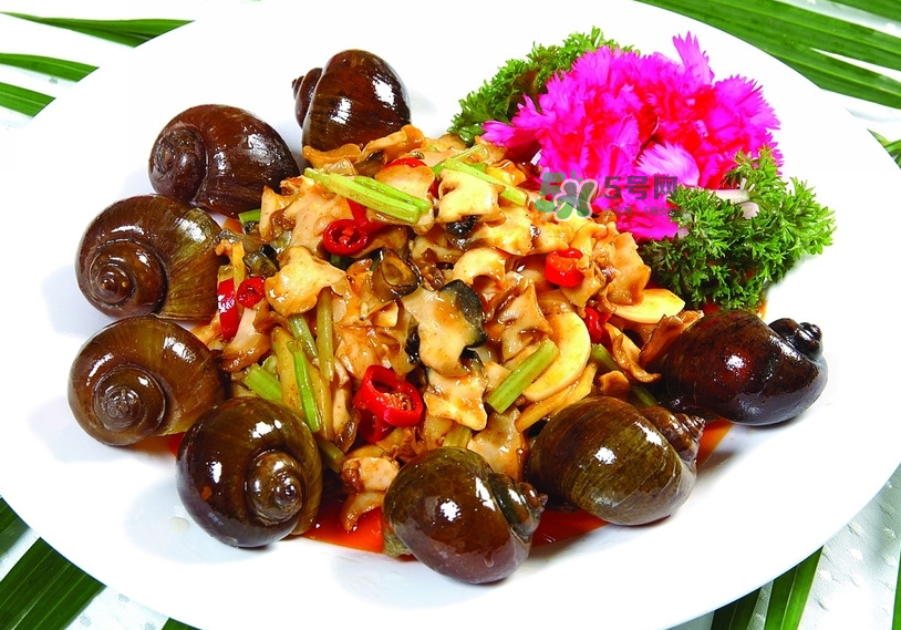 福壽螺吃什么生長?福壽螺吃水葫蘆嗎? 福壽螺吃什么生長?福壽螺吃水葫蘆嗎?