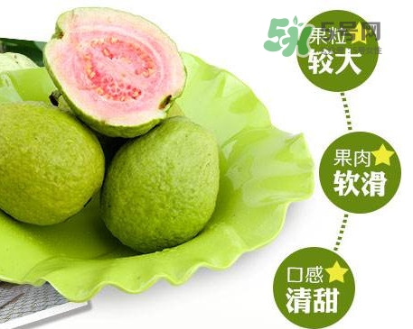 芭樂怎么挑選？如何挑選紅心芭樂