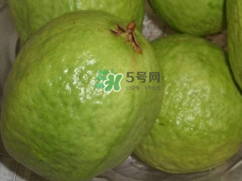 芭樂怎么挑選？如何挑選紅心芭樂