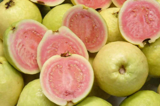 芭樂是番石榴嗎？芭樂是什么水果