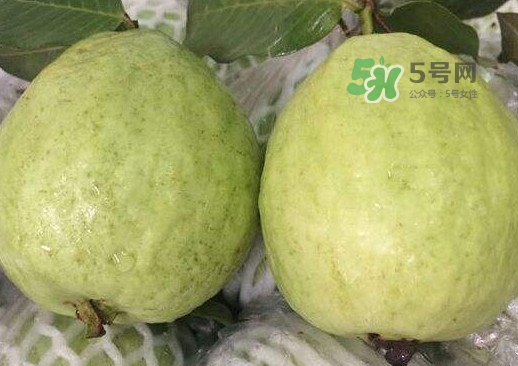 紅芭樂怎么吃？芭樂是熱的還是涼的