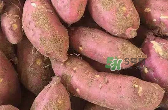 地瓜發(fā)芽了怎么種盆栽？拔絲地瓜怎么熬糖