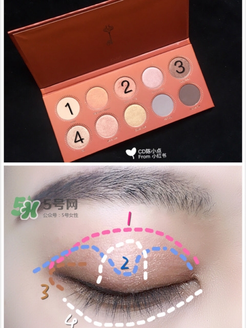 zoeva玫瑰金眼影盤怎么畫？zoeva rose golden畫法教程