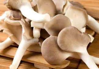 哪些人不能吃秀珍菇？秀珍菇不能和什么同吃？