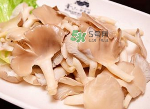 秀珍菇孕婦可以吃嗎？孕婦能吃秀珍菇嗎