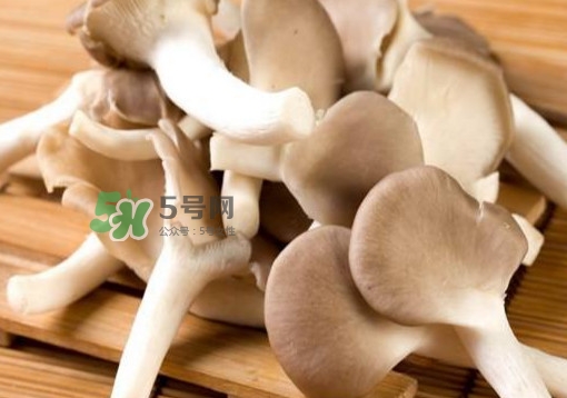 秀珍菇一畝地能種植多少包？秀珍菇如何出菇管理